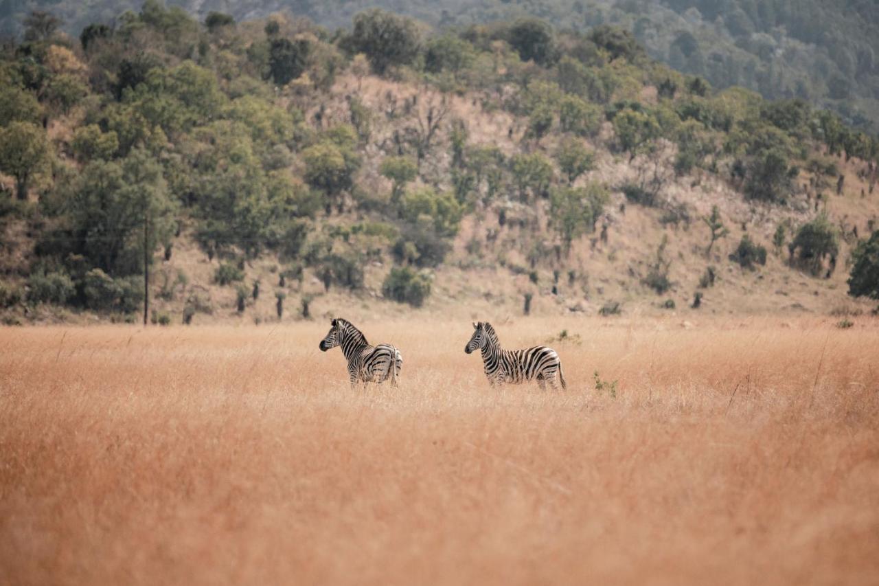 Dawsons Game Lodge Badplaas Buitenkant foto